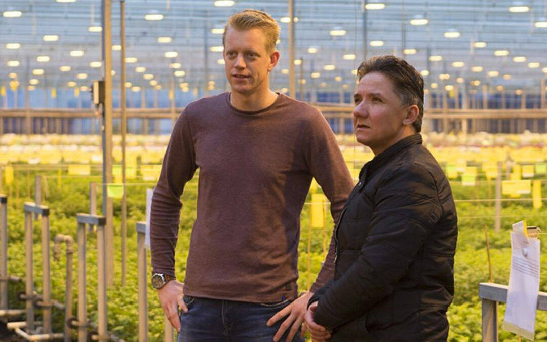Balanceren tussen energie, uitstraling en vocht voor perfecte klimaat