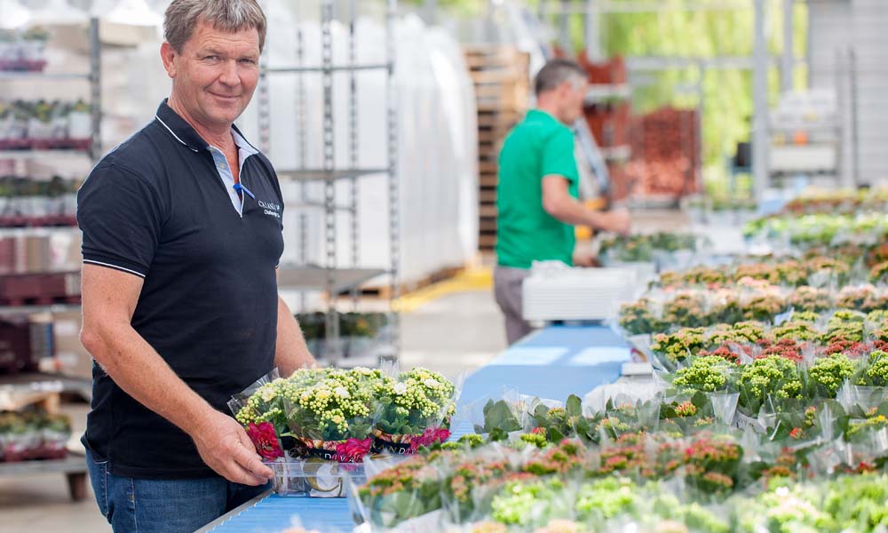 Het gebruik van silicium neemt toe, ingegeven door de zoektocht naar een weerbare plant.