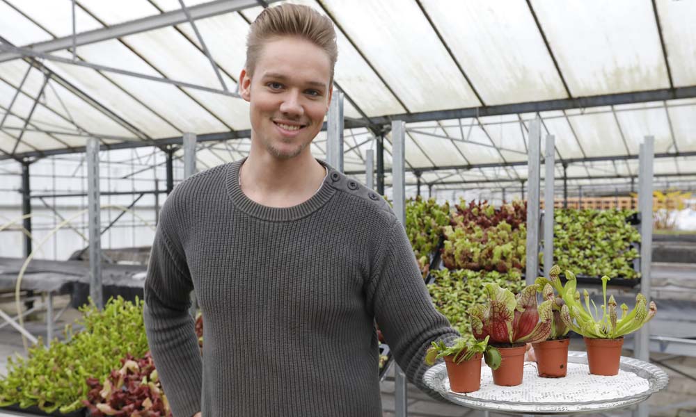 ‘Het blijkt een wondermiddel tegen muggen’