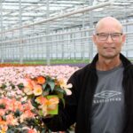 Grote orders bloeiende potplanten vereisen flexibiliteit in de teelt
