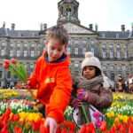 Tulpen Promotie Nederland dendert door