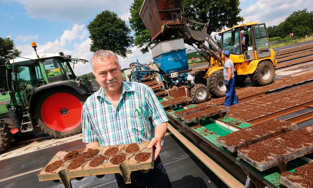 Van den Elzen Plants is hosting a trial with a substrate adapted specifically for strawberries combined with biological supplements.