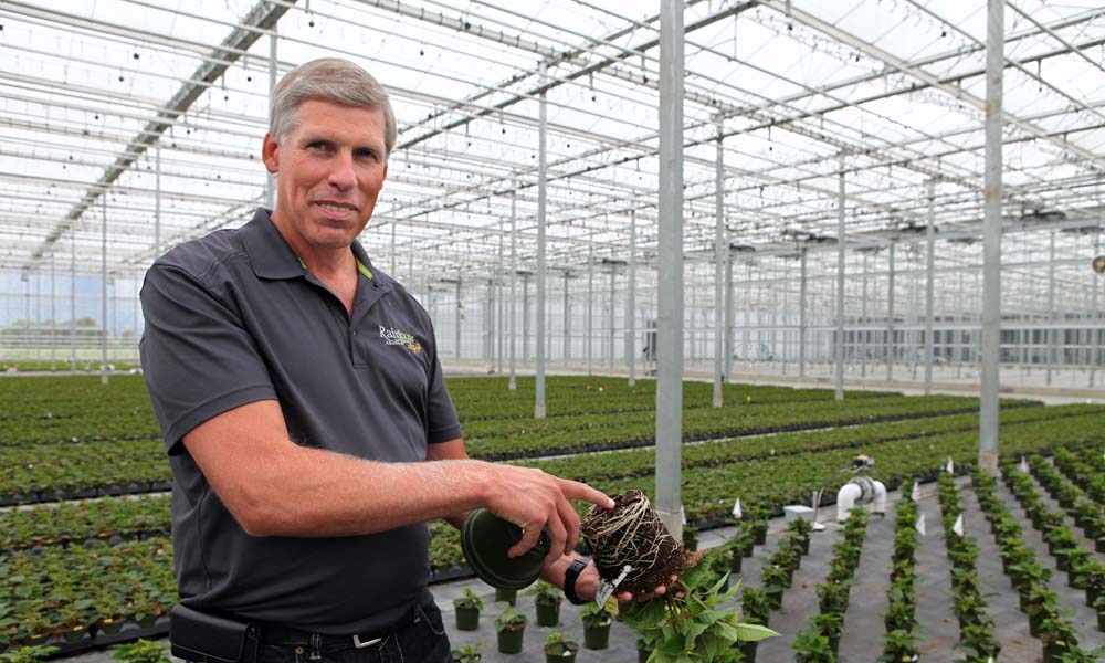 Rainbow Greenhouses in Canada is a privately owned wholesale grower and distributor of high-quality potted plants.
