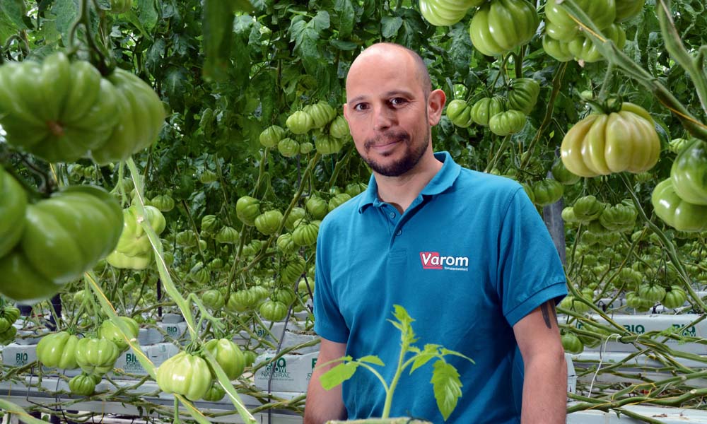 Water system contamination tackled with polyphosphates and biocide