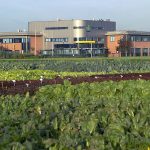 Nieuwe R&D-locatie van Rijk Zwaan in Fijnaart geopend
