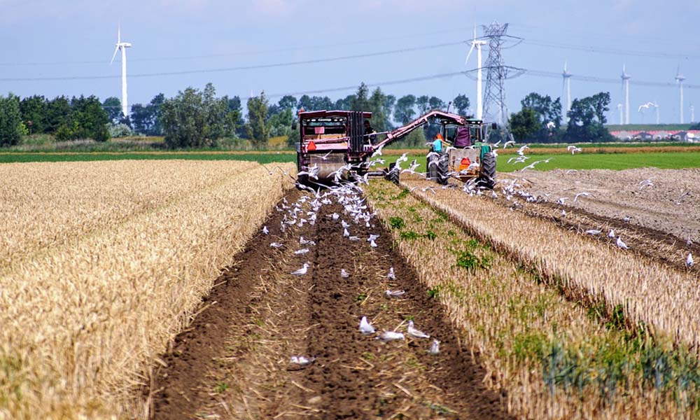 A farmer works his land