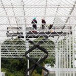 Ter Laak Orchids kiest hybride groeilichtinstallatie voor nieuwbouw