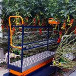 Plantalyzer wordt automatisch telsysteem voor tomaten in de kas