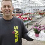 In slechts twee jaar tijd is de Dianthus caryophyllus Pink Kisses uitgegroeid tot een enorm succes. “De verkoopt loopt als een tierelier”, vertelt Jarno.