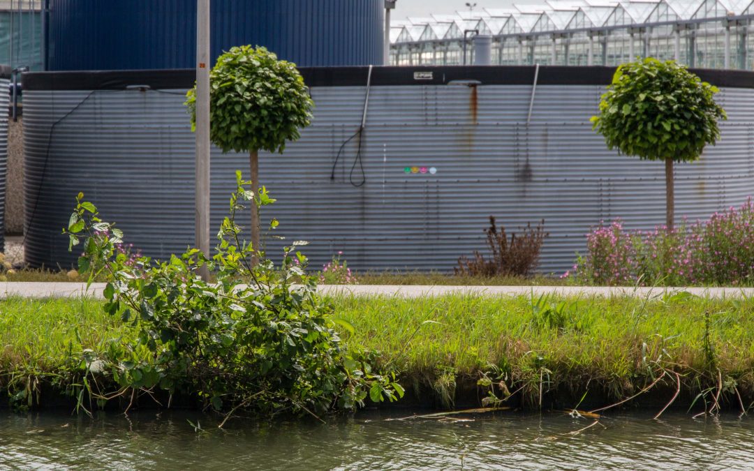 Zuiveringsplicht glastuinbouw komt snel dichterbij