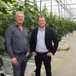 Ad Verhoeven (links) van Kwekerij Verhoeven en Wim Steeghs (rechts) van Philips Horticulture LED Solutions.