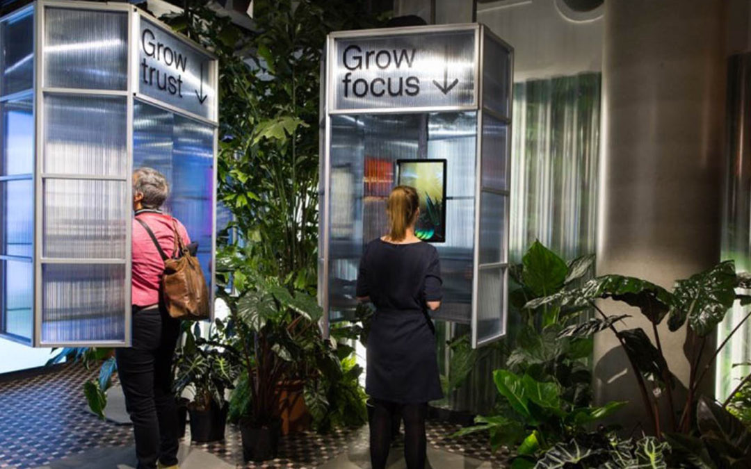 Let it Grow maakt stedelingen gelukkiger met planten en bloemen