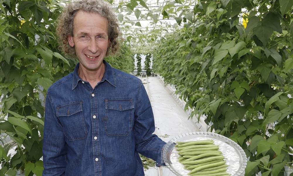 Tuinbouwbedrijf ‘De Echte Hollander’ is gespecialiseerd in de teelt van de lange, zachte raapsteel Namenia en de exclusieve kasboon Florine.