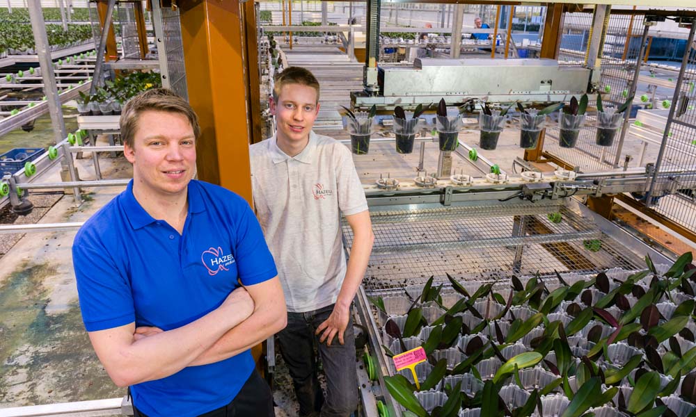 The robot sets down pots with young orchid plants on mobile benches, where they are grown on until they are ready for sale.