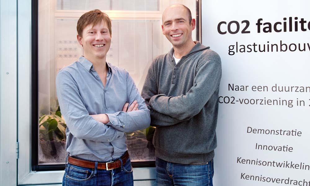 If sweet pepper plants receive a high dose of CO2 over a long period in the winter, they get used to the high level. That produces “lazy” leaves