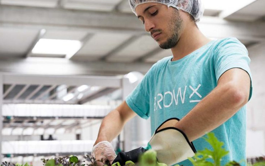 First high-tech vertical farm officially opened in Amsterdam