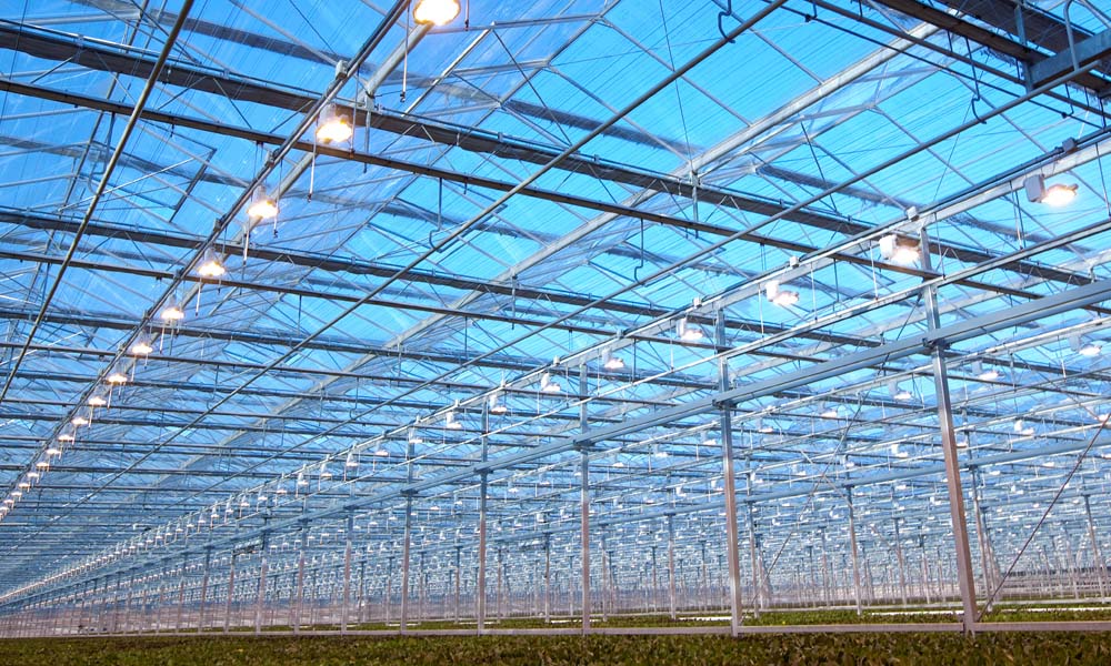 Richting en tempo bedrijfsontwikkeling worden door veel factoren bepaald