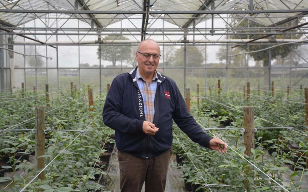 Theo Douven realiseert eigen proeftuin voor blauwe bes in Duitsland