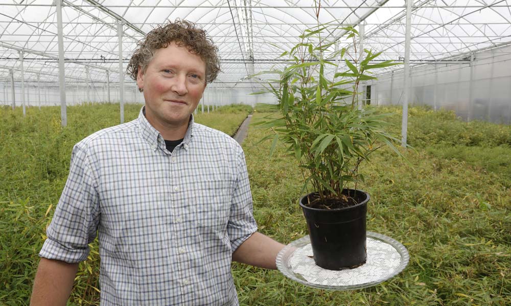 Het begon met het opkweken van een paar stekjes uit China en Japan. Nu weet de hele wereld wie Bennie Nielen van Bamboo Giant uit het Brabantse Asten is.