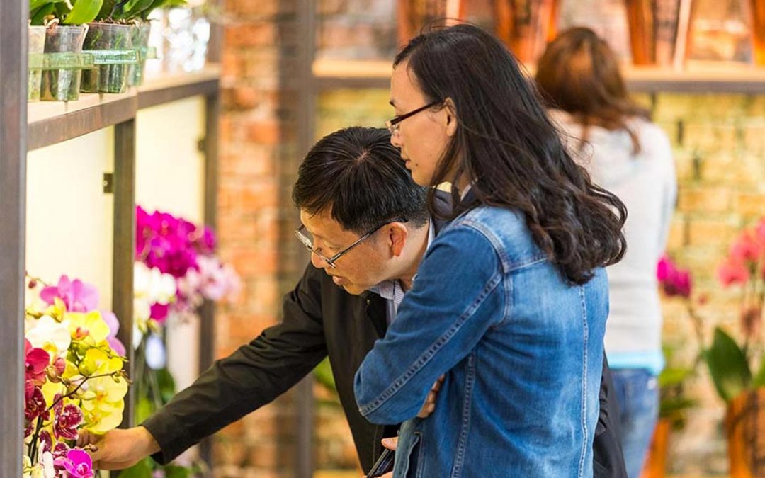 Orchid Inspiration Days aanwezig op Royal FloraHolland Trade Fair