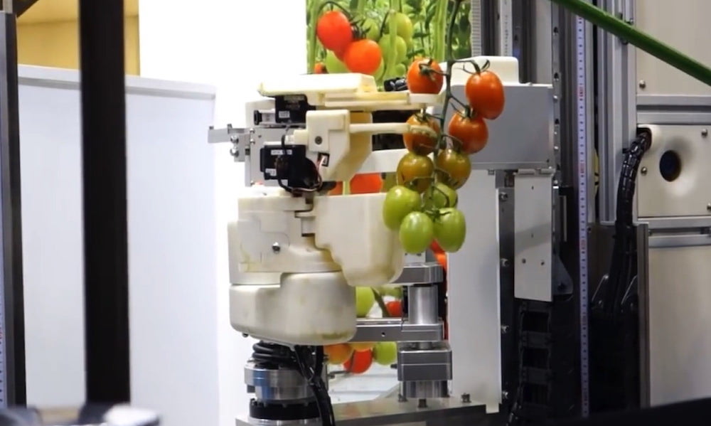 Panasonic demonstreert een robot die tomaten kan plukken