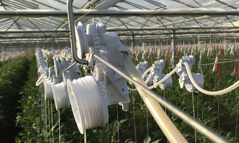 Het Plant Elevation System is een innovatief systeem dat het laten zakken van tomaten- en komkommerplanten in de hogedraadteelt automatiseert.