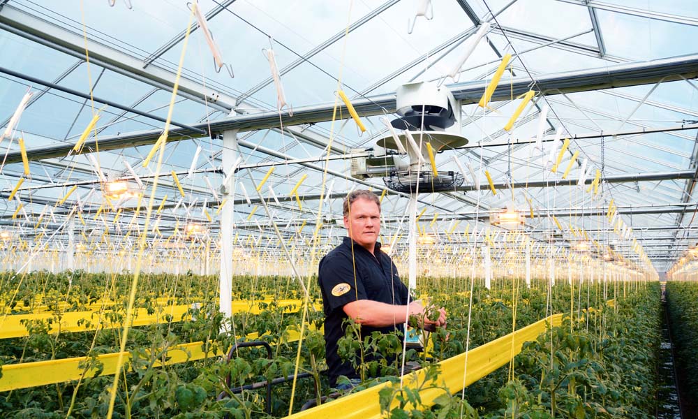 Combining two vertical fans makes for more even climate