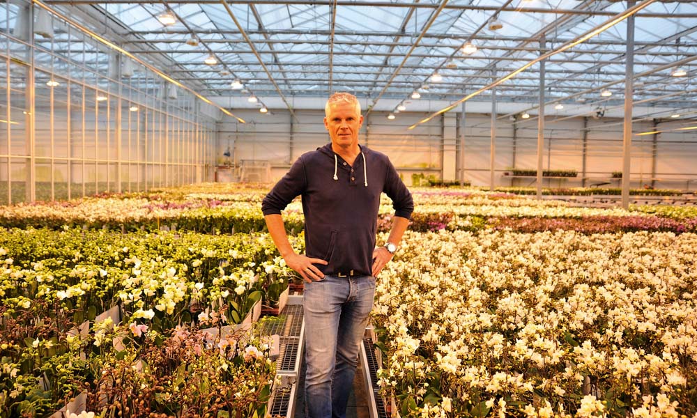 OK Plant opts for triple screen to boost quality even further