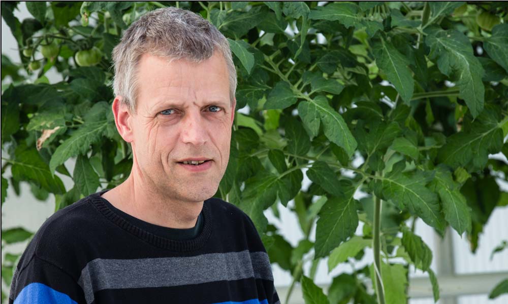 An uptake analysis gives growers an accurate picture of which elements the plant is actually taking up, enabling them to fine tune the nutrient solution