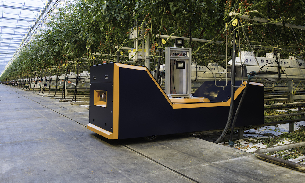 The Plantalyzer is a innovative tool for accurate estimation of vine tomato crops