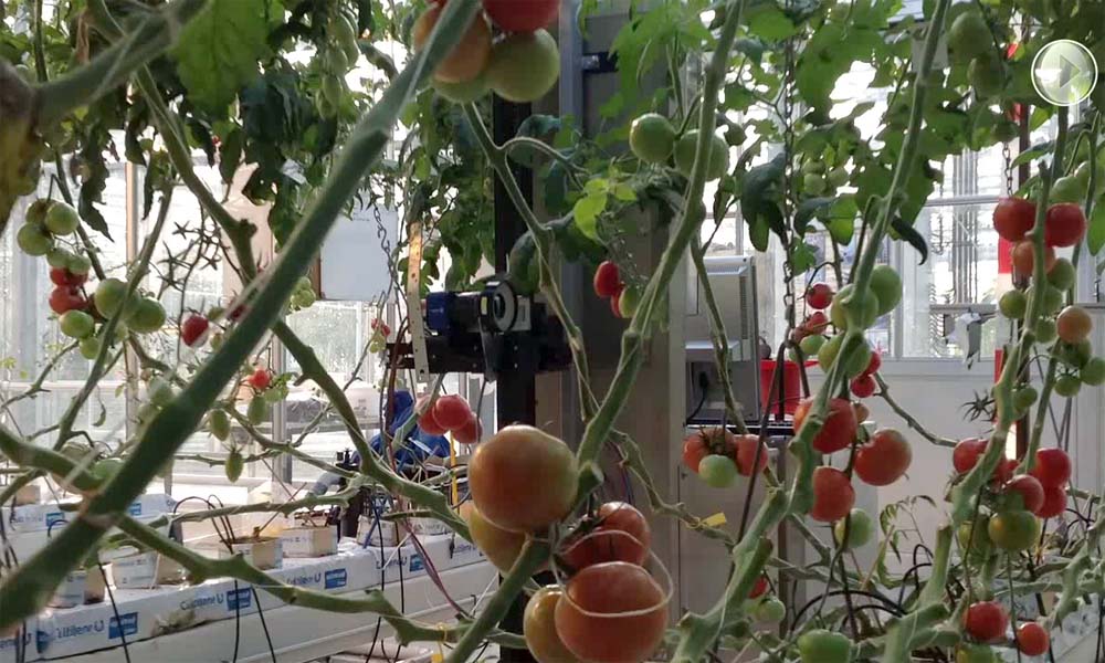 The Precision Horticulture Programme was launched this year. It is a form of horticulture in which plants receive precisely the treatment they need.