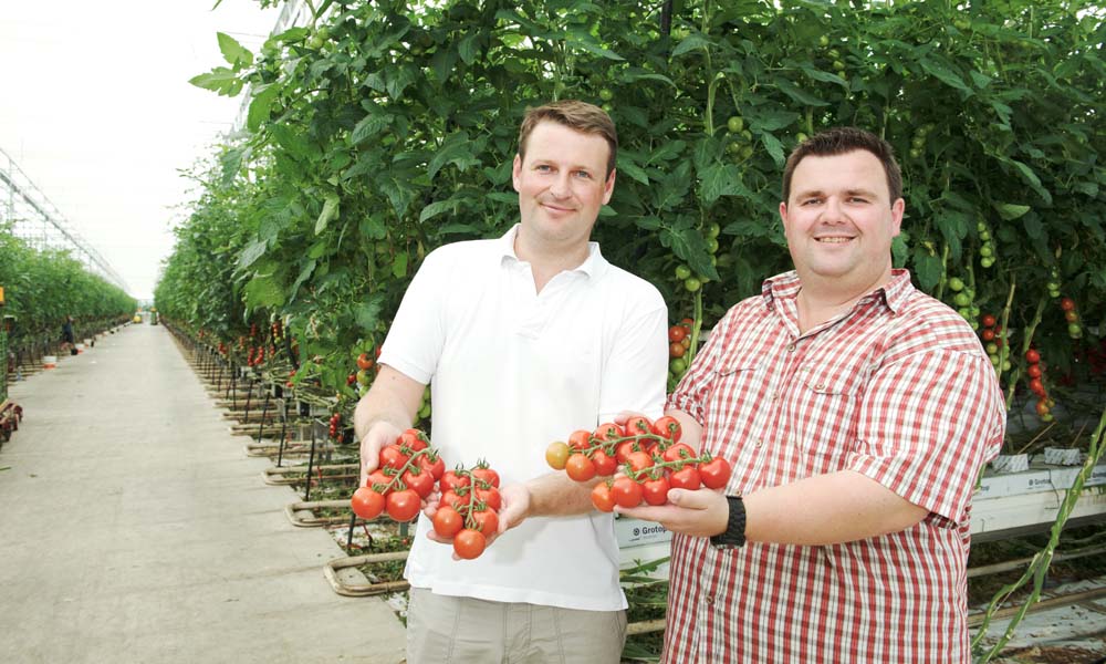 In 2004 two families, who each ran a small-scale business in Vienna, decided to set up a new, more professional horticultural business together.