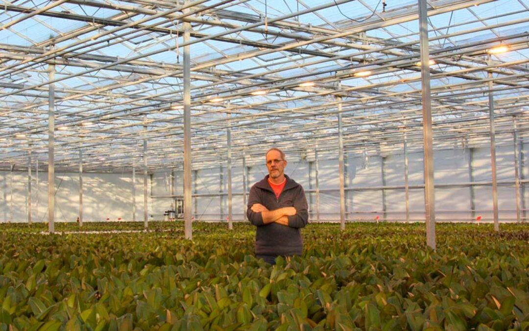 UV-ionisatietechniek bestrijdt micro-organismen in de lucht