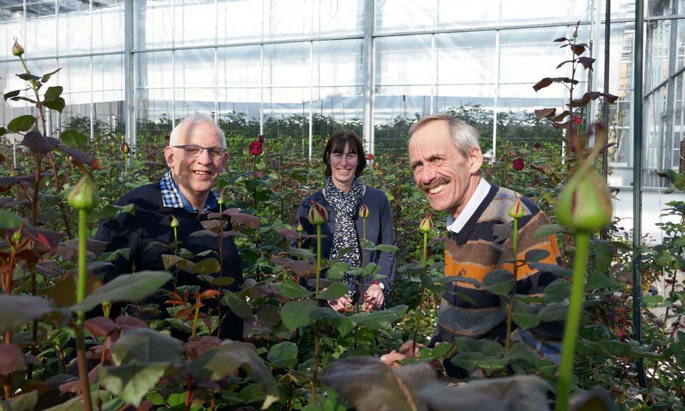 Gerichter onderzoek effect lichtkleuren vergt bezinning. Welk spectrum moet een teler kiezen als hij LED-belichting overweegt