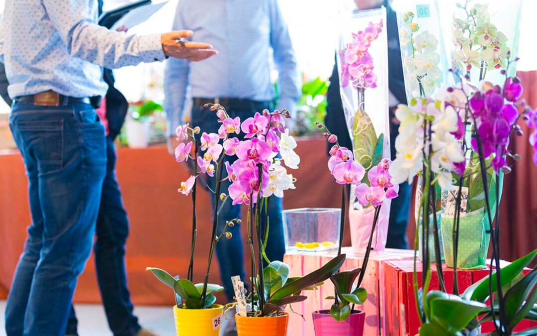 Inschrijving Orchid Inspiration Days 2018 geopend