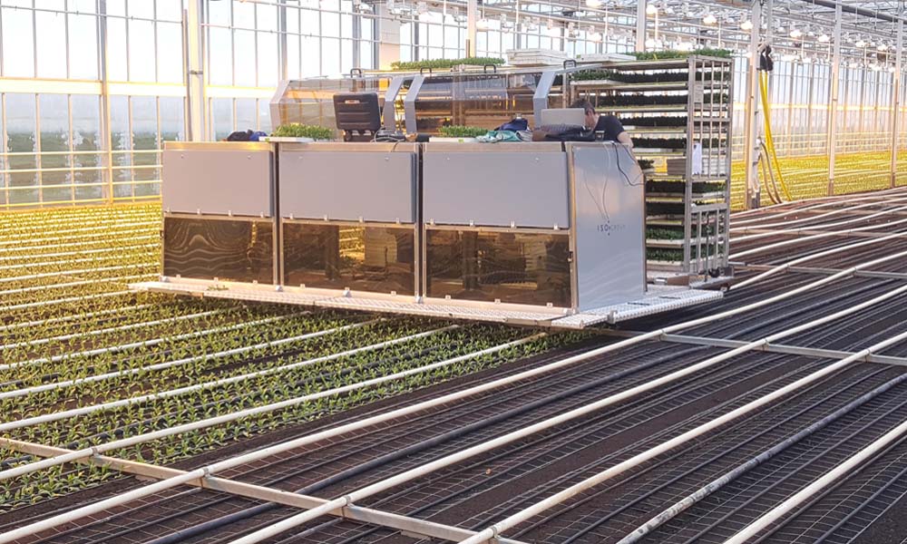 ISO Robot Plug Planting Machine