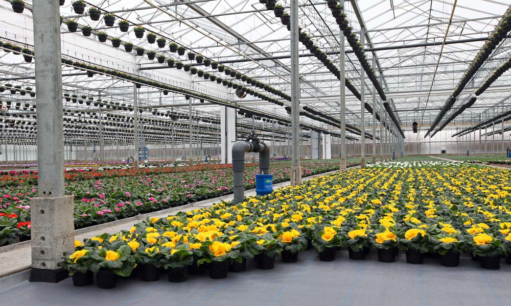 Cultivation fabric with good water permeability and temperature distribution