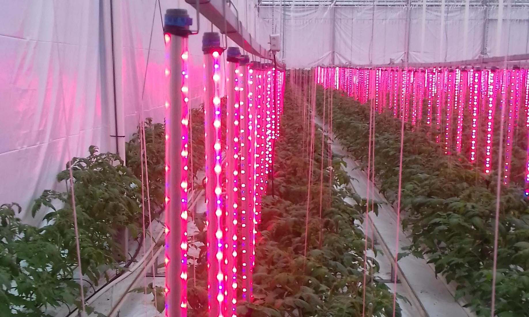 Vertical interlighting