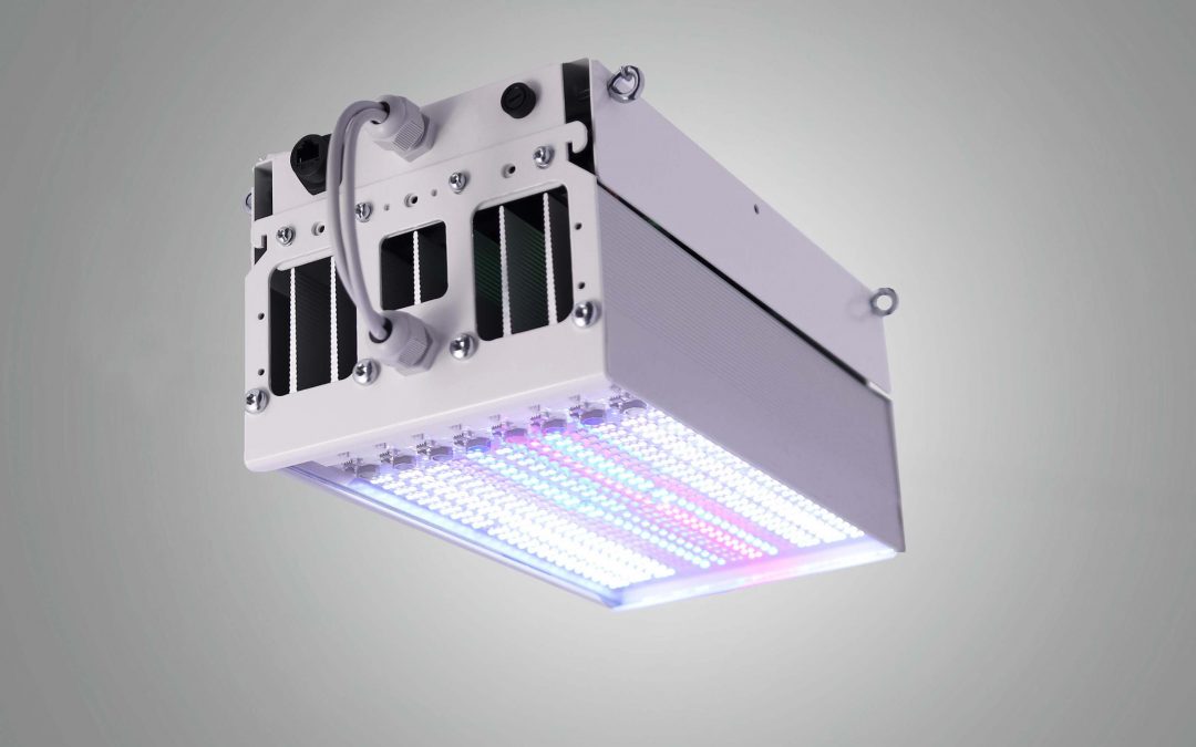 Dynamic simulator of solar and outdoor light conditions