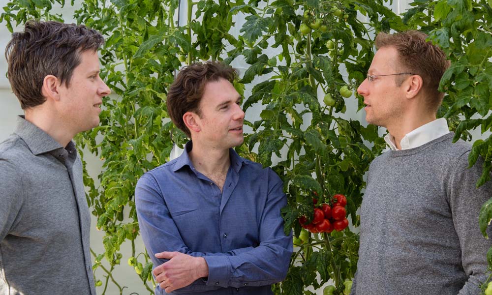 Bij big data is het de kunst om in de enorme stroom gegevens patronen te herkennen en die om te zetten in informatie, om deze vervolgens voor praktijkgebruik toepasbaar te maken. Verschillende partijen in de glastuinbouw zijn er druk mee bezig.