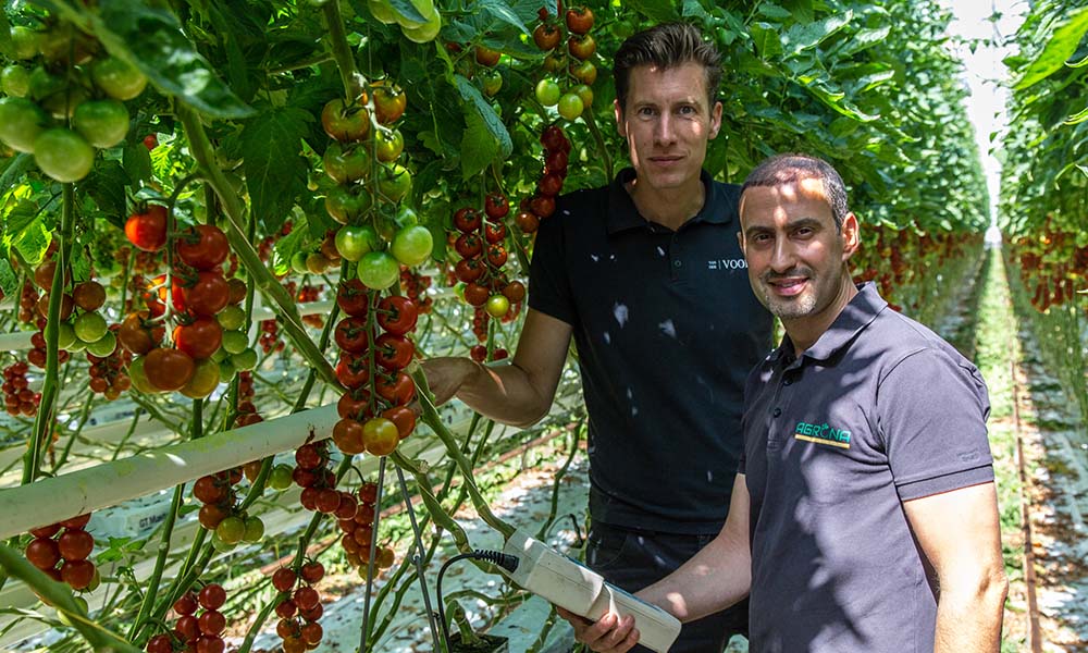 Joost van der Voort (left) and Nadir Laaguili measure the oxygen concentration at the dripper. The system guarantees a level of 10 mg per litre.