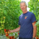 Tomatenteler verfijnt meststofgift steeds verder en houdt systeem schoon