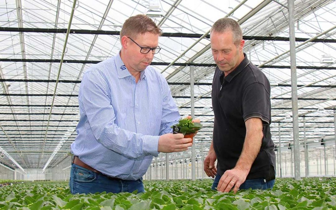 Gerichte biologische bestrijding werkt beter en is kostenbesparend