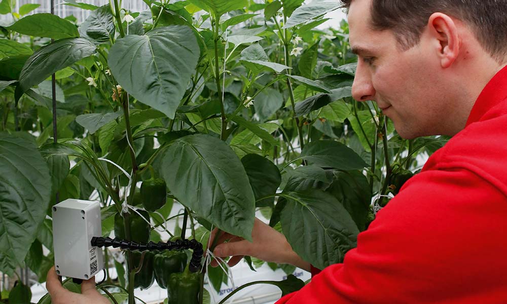 Smart sensors and dashboards are the future