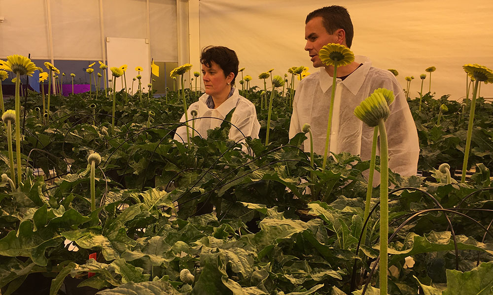 Effect of disinfectants on quality of irrigation water
