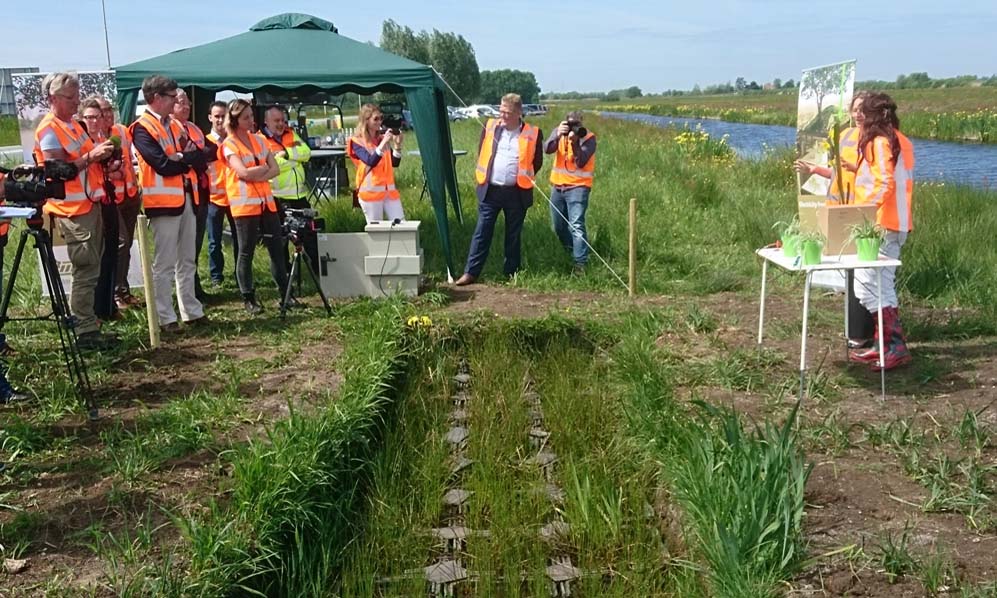 Provincie Zuid-Holland verlengt pilot Plant-e voor energieopwekking uit berm