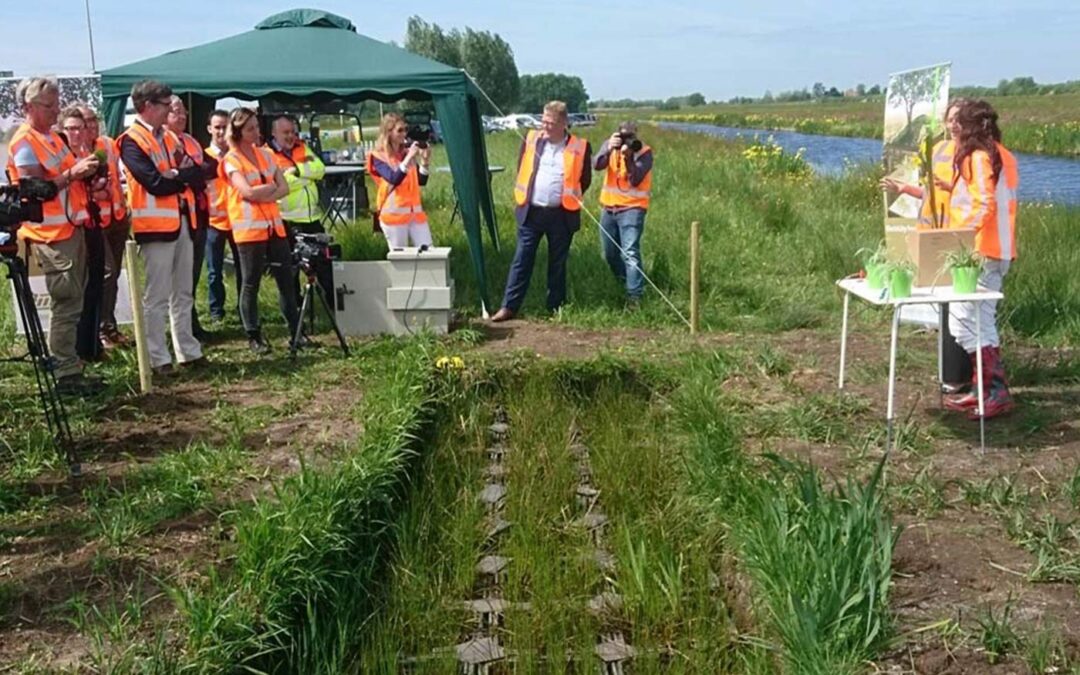 Provincie Zuid-Holland verlengt pilot Plant-e voor energieopwekking uit berm