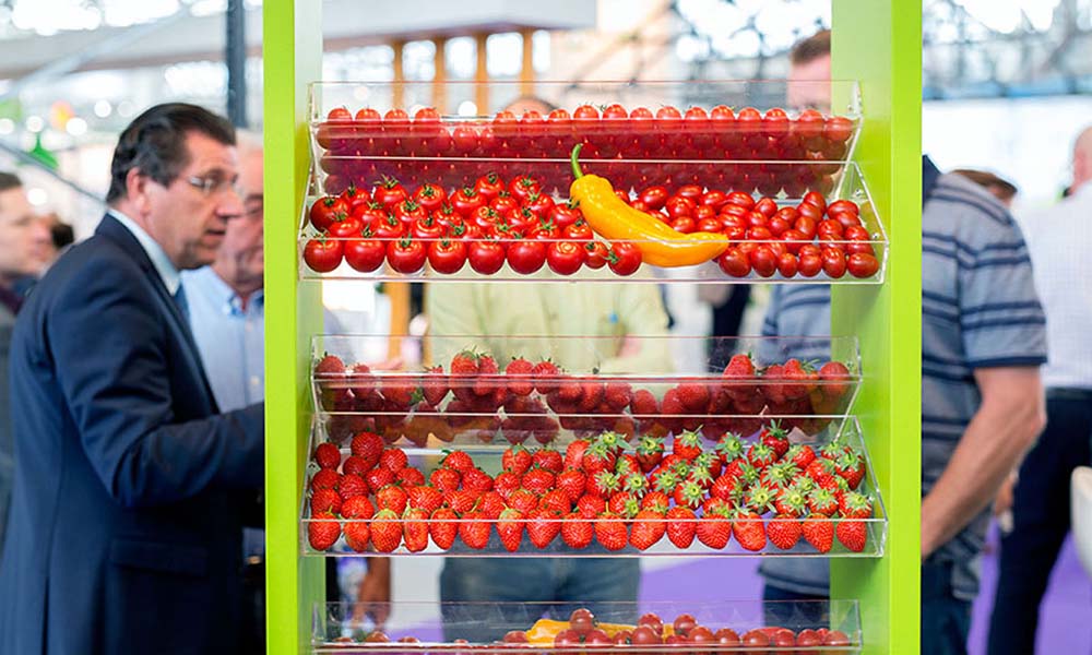 The rising popularity of vertical farming was clearly demonstrated at the GreenTech trade fair, held this year from 12 to 14 July in the RAI Amsterdam Convention Centre. GreenTech Amsterdam organised the GreenTech Amsterdam Vertical Farming Pavilion for the second time in a row, in collaboration with the Association for Vertical Farming.