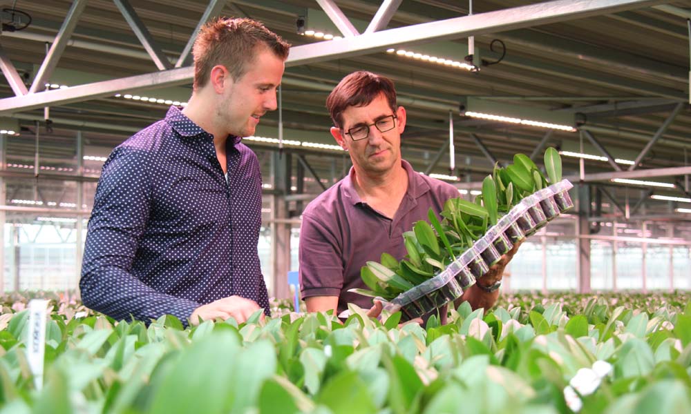 Right light spectrum on bottom layer with half the energy