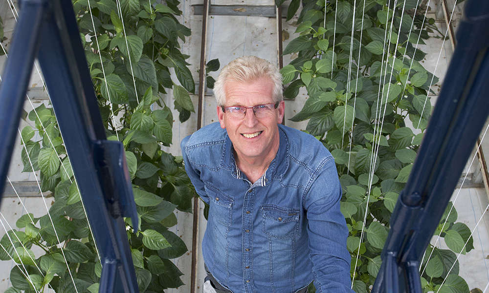 Double screen plays key role in quest for uniform climate